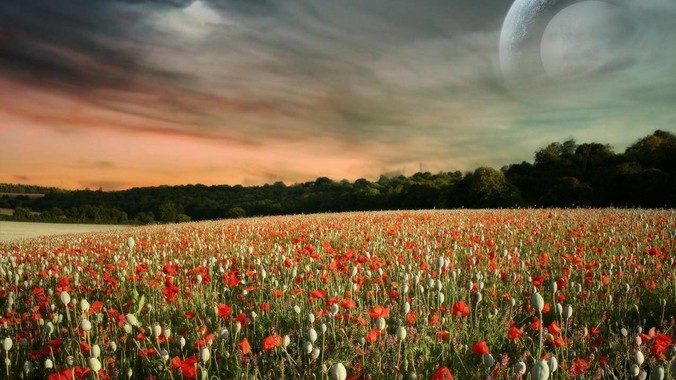 为何Microsoft能一直留在中国市场?